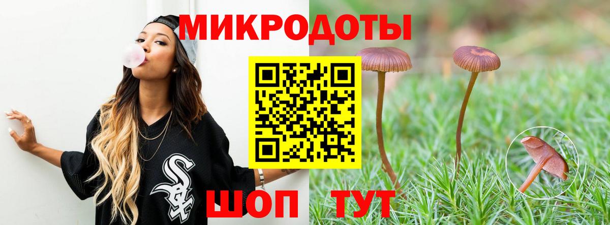 Псилоцибиновые грибы GOLDEN TEACHER Сокол