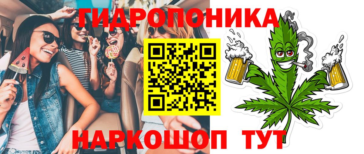 Бошки Шишки MAZAR Сокол